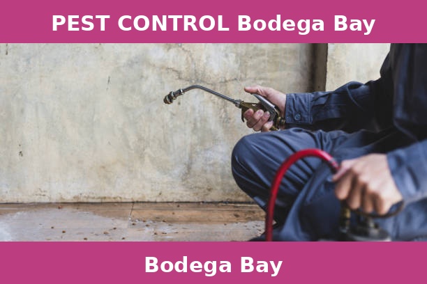 PEST CONTROL Bodega Bay